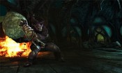Dragon Age: Origins - Immagine 2