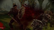 Dragon Age: Origins - Immagine 6