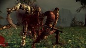 Dragon Age: Origins - Immagine 7