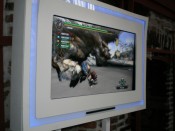 Monster Hunter 3 - Immagine 3