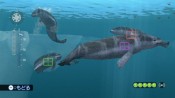 Endless Ocean 2: Avventure negli abissi - Immagine 5