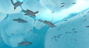 Endless Ocean 2: Avventure negli abissi - Immagine 7