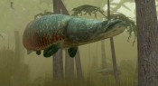 Endless Ocean 2: Avventure negli abissi - Immagine 8