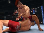 UFC 2010 Undisputed - Immagine 1