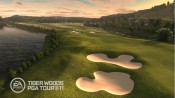 Tiger Woods PGA Tour 11 - Immagine 2