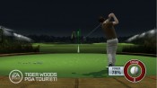 Tiger Woods PGA Tour 11 - Immagine 6