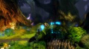 Trine - Immagine 5