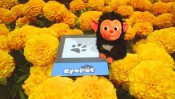 EyePet - Immagine 4