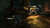 Kingdoms of Amalur: Reckoning - Immagine 5
