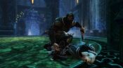 Kingdoms of Amalur: Reckoning - Immagine 8