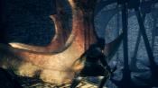 Dark Souls - Immagine 6