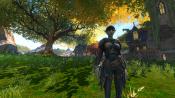 Kingdoms of Amalur: Reckoning - Immagine 1