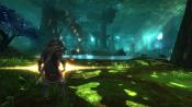 Kingdoms of Amalur: Reckoning - Immagine 2