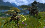 Kingdoms of Amalur: Reckoning - Immagine 4