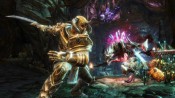 Kingdoms of Amalur: Reckoning - Immagine 7