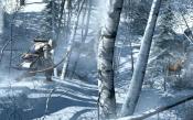 Assassin's Creed III - Immagine 19