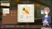 Atelier Meruru: the Apprentice of Arland - Immagine 6