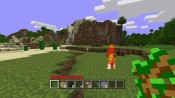 Minecraft - Immagine 5