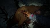 Until Dawn - Immagine 2