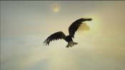 Assassin's Creed III - Immagine 20
