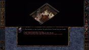 Baldur's Gate: Enhanced Edition - Immagine 16
