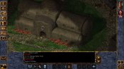 Baldur's Gate: Enhanced Edition - Immagine 8