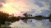 Tiger Woods PGA Tour 2013 - Immagine 7