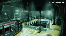 Crysis 3 - Immagine 8