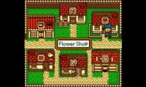 Harvest Moon GB (Virtual Console 3DS) - Immagine 4