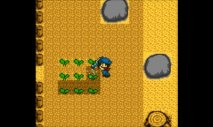 Harvest Moon GB (Virtual Console 3DS) - Immagine 5