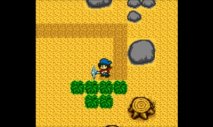 Harvest Moon GB (Virtual Console 3DS) - Immagine 6