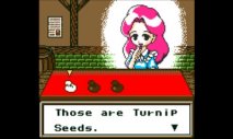 Harvest Moon GB (Virtual Console 3DS) - Immagine 7