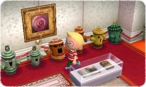 Animal Crossing New Leaf - Immagine 9