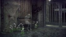 Rain - Immagine 3