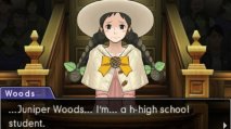 Phoenix Wright: Ace Attorney - Dual Destinies - Immagine 4