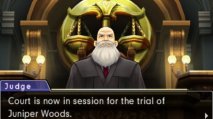 Phoenix Wright: Ace Attorney - Dual Destinies - Immagine 6
