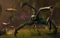 The Elder Scrolls Online - Immagine 9