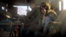 Far Cry 4 - Immagine 3