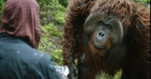 Apes Revolution: Il Pianeta delle Scimmie - Immagine 2