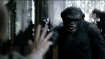 Apes Revolution: Il Pianeta delle Scimmie - Immagine 4