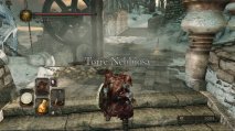Dark Souls II: Crown of the Old Iron King - Immagine 4