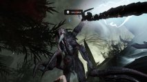 Evolve - Immagine 4