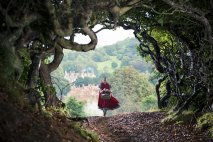Into the Woods - Immagine 2