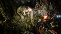 Evolve - Immagine 4