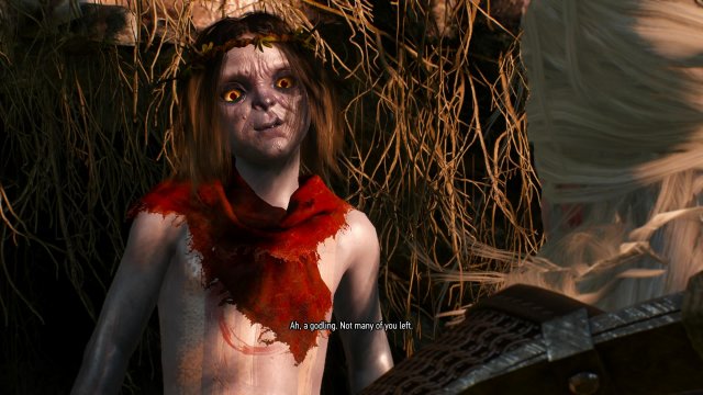 The Witcher 3: Wild Hunt - Immagine 6