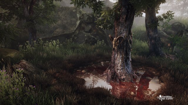 The Vanishing of Ethan Carter - Immagine 5