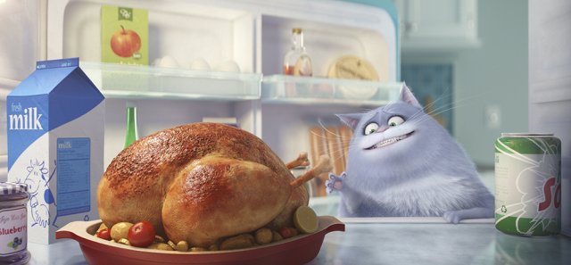 Pets - Vita da Animali - Immagine 4