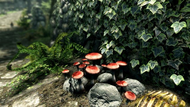 The Elder Scrolls V: Skyrim - Special Edition - Immagine 1