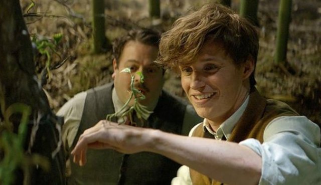 Animali Fantastici e Dove Trovarli - Immagine 1
