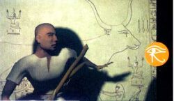Immagine 5